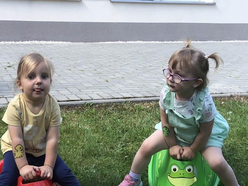 Img 1133 800x600