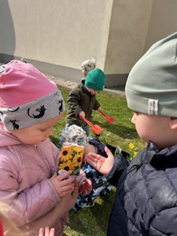 Image2 800x600